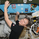 Image: Peggy Whitson/NASA Johnson via Flickr